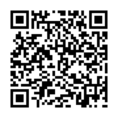 QR code for DUZ334