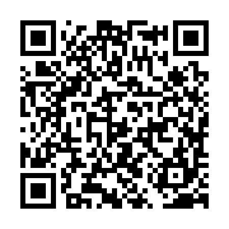 QR code for DUZ394