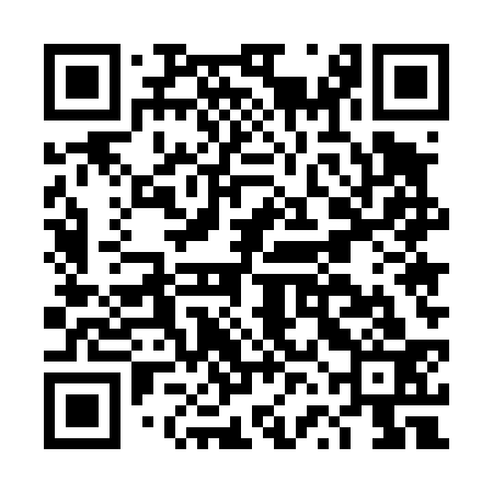 QR code for DVE433