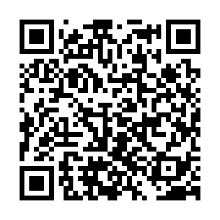 QR code for DVI339