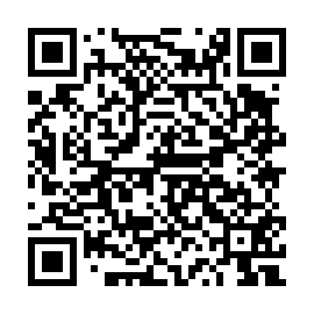 QR code for DVI451