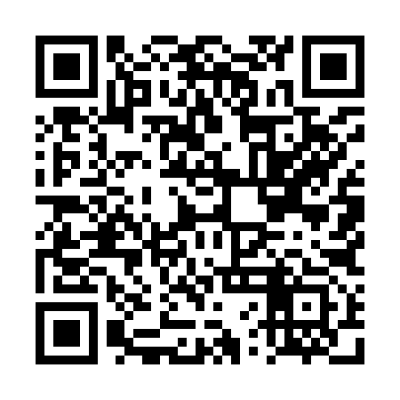 QR code for DVM993