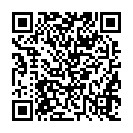 QR code for DVS256