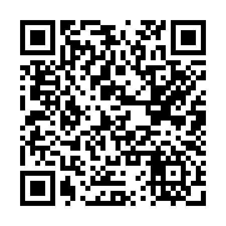 QR code for DVS397