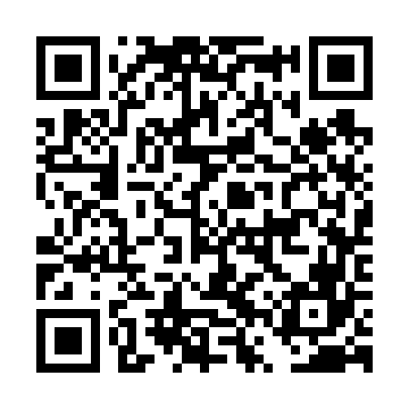 QR code for DVS666