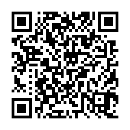 QR code for DVS700