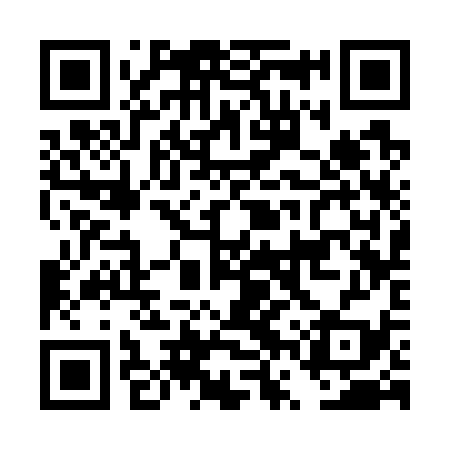 QR code for DVS739
