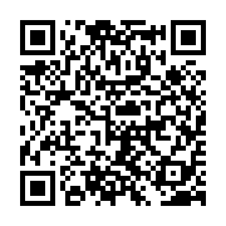 QR code for DVS819