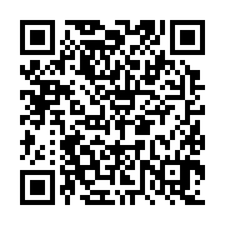 QR code for DVV384