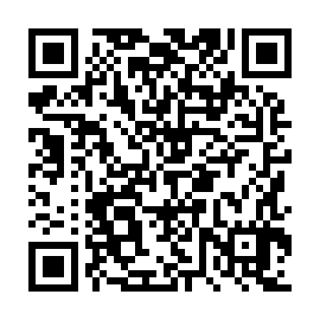 QR code for DVX987