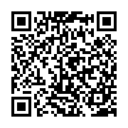 QR code for DWI007