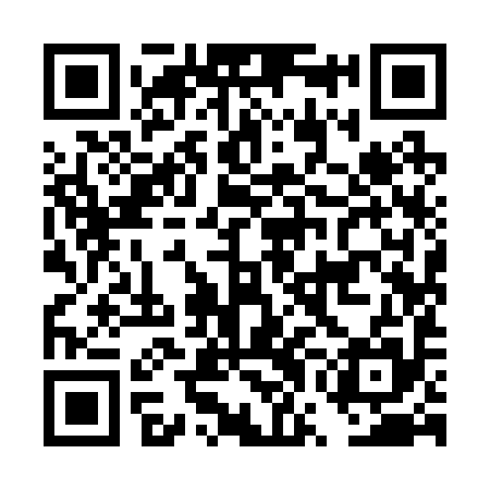 QR code for DWI295