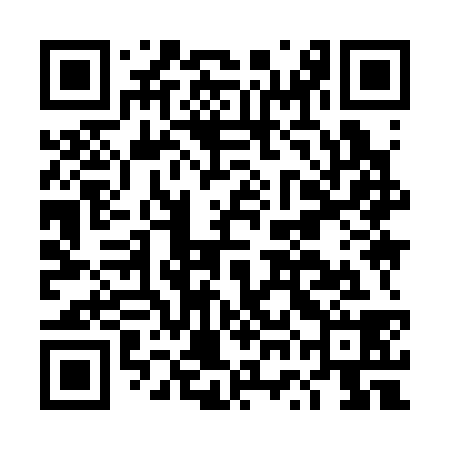 QR code for DWI338