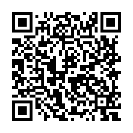 QR code for DWI993