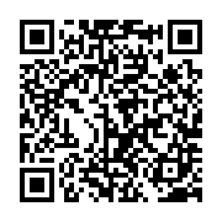 QR code for DWL383
