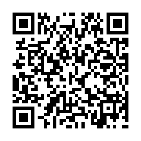 QR code for DWM993