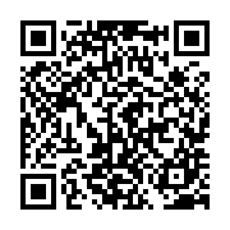 QR code for DWN987