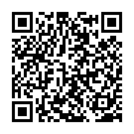 QR code for DWS411