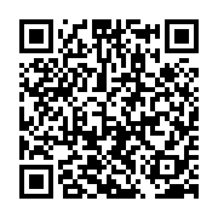 QR code for DWS818