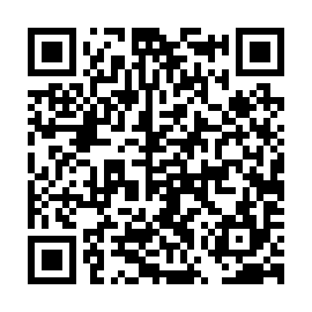 QR code for DWT294