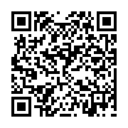 QR code for DWV386