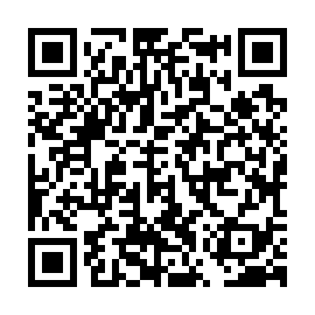 QR code for DWZ739