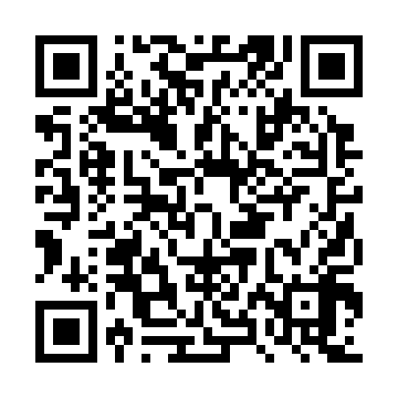 QR code for DXB318