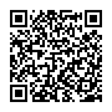 QR code for DXF461