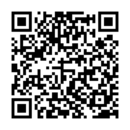 QR code for DXG595