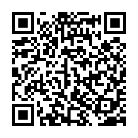 QR code for DXG599