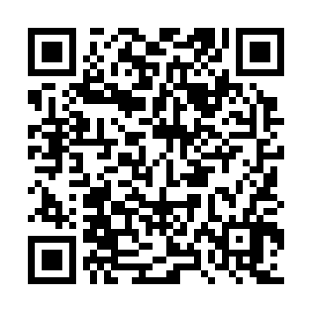 QR code for DXL306