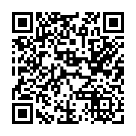 QR code for DXL313