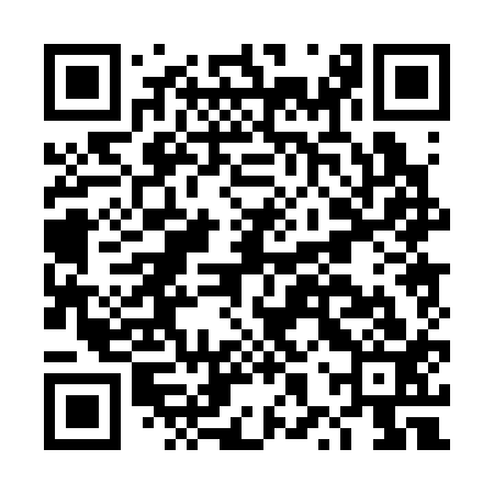 QR code for DXP313