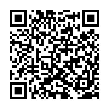 QR code for DXQ493