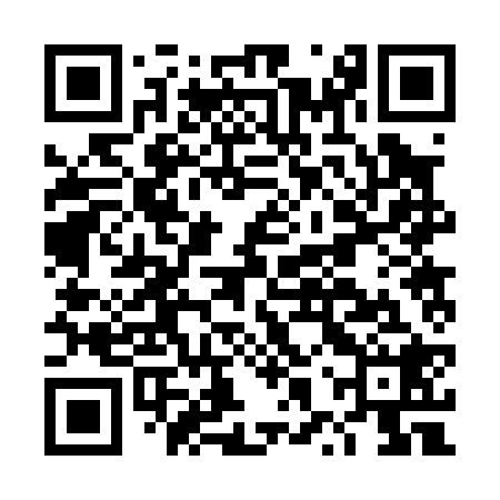 QR code for DXR028