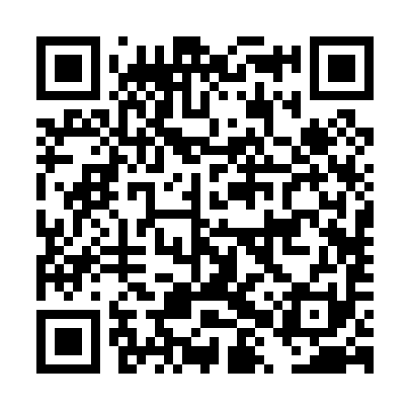 QR code for DXR091