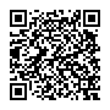 QR code for DXR419