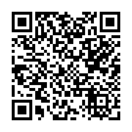 QR code for DXS333