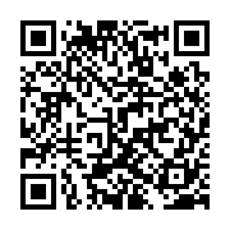 QR code for DXW370