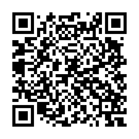 QR code for DXW407
