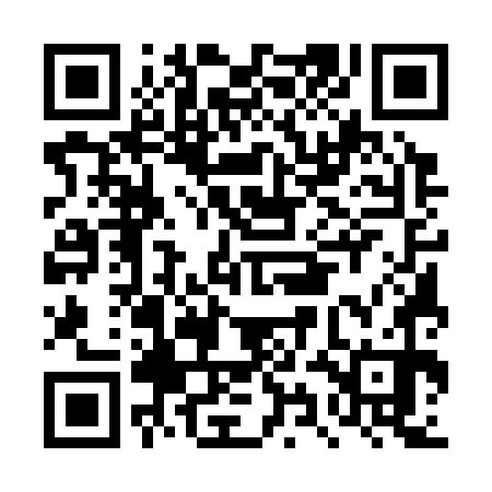 QR code for DYE370