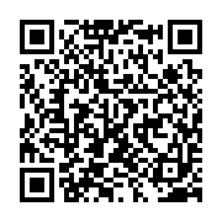 QR code for DYE393