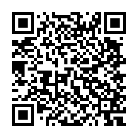 QR code for DYE441