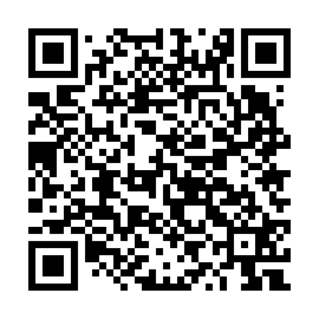 QR code for DYE621