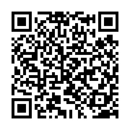 QR code for DYE698