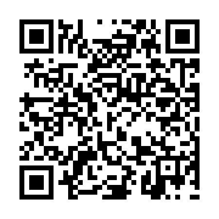 QR code for DYE925