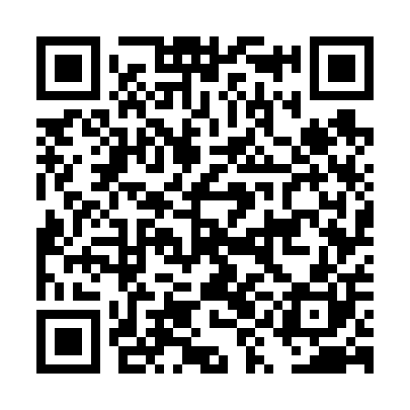 QR code for DYG600