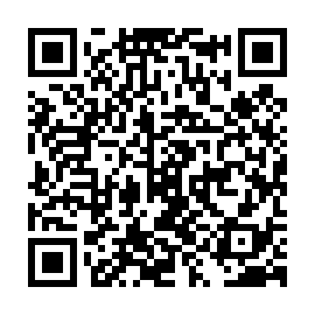 QR code for DYI438