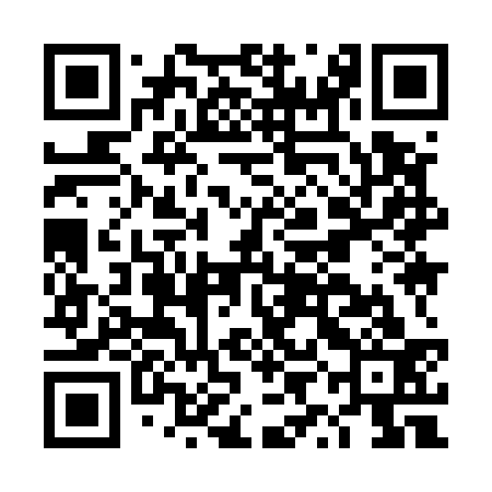 QR code for DYI533