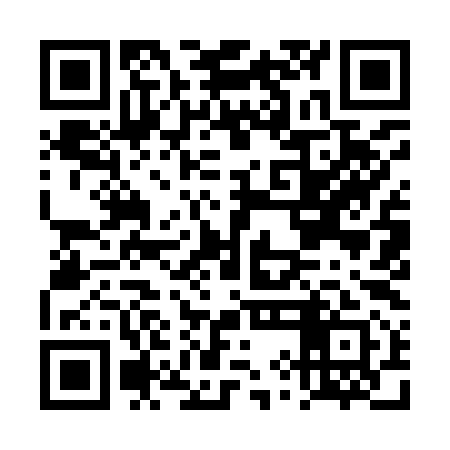 QR code for DYI991